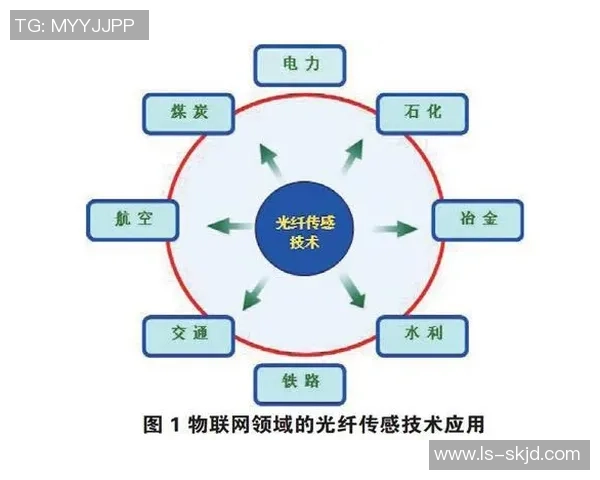 深圳排球队边路渗透战术解析与实战应用探讨