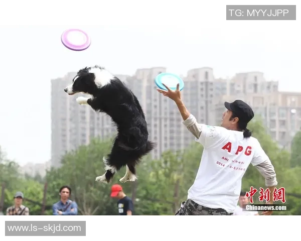 极限运动世界杯点评：深圳飞盘队的速度表现